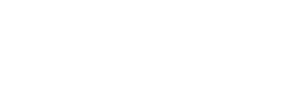 byAudarya